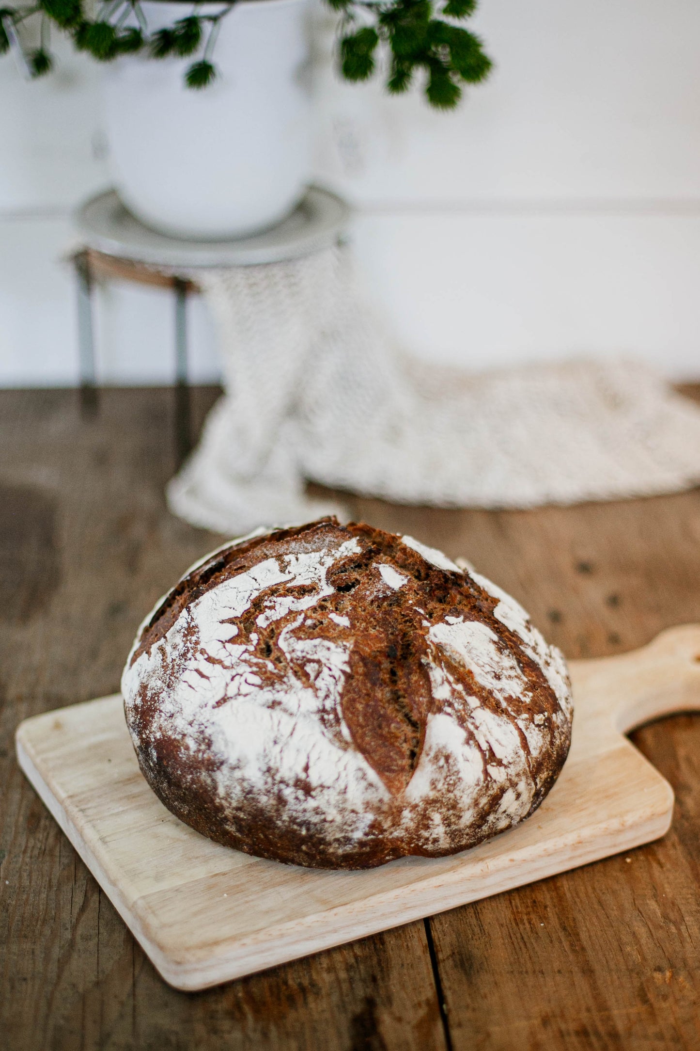 Double Chocolate Peppermint Sourdough