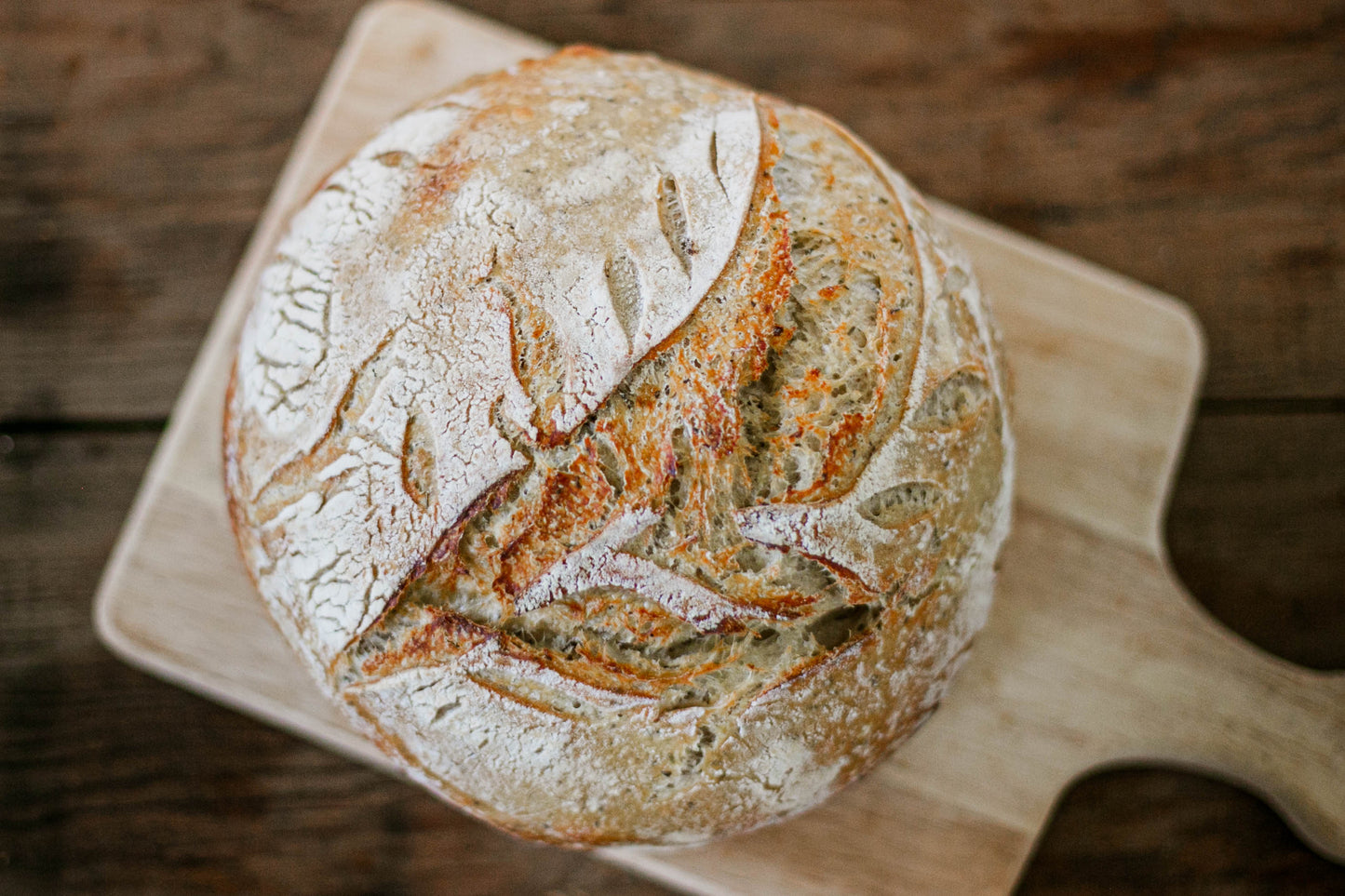 Green onion and cheddar sourdough artisan bread on a wooden cutting board on a wooden table. Baked in the kitchen at Nystrom Orchard in Worthington Minnesota.