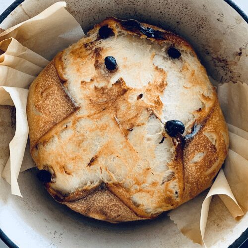 Rustic loaf of sourdough bread infused with lemon and blueberries in a dutch oven with parchment paper. Baked in the kitchen at Nystrom Orchard in Worthington Minnesota.