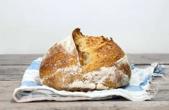 A loaf of rustic homemade sourdough bread on a blue striped towel on a table. The bread is baked in the kitchen at Nystrom Orchard in Worthington Minnesota.