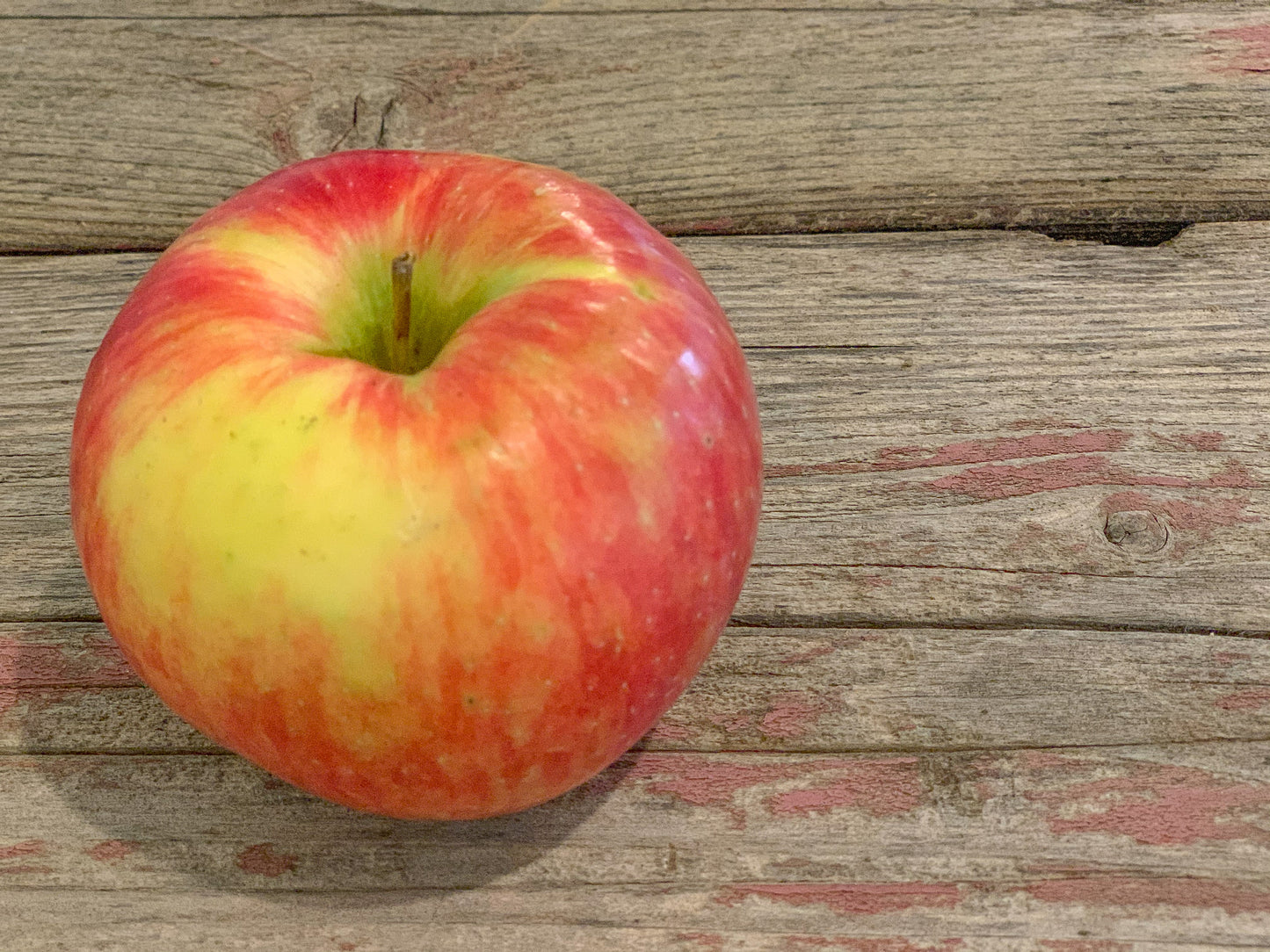 Honeycrisp