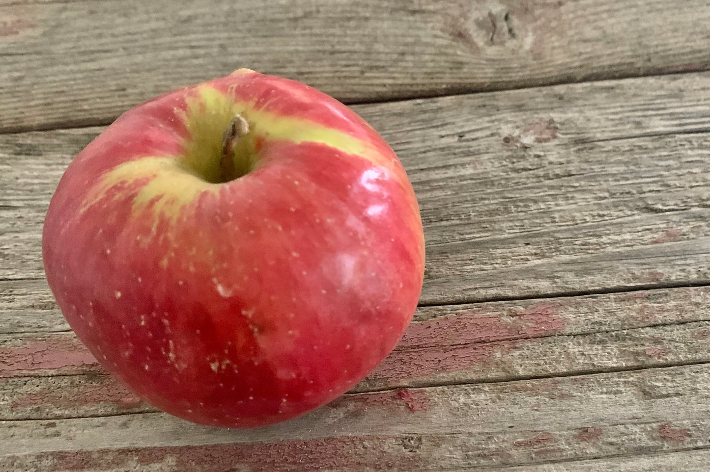 Keepsake Apples