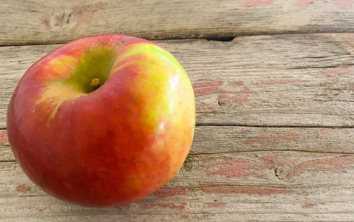 A single Cortland apple on a wooden surface. Picked at Nystrom Orchard in Worthington Minnesota.