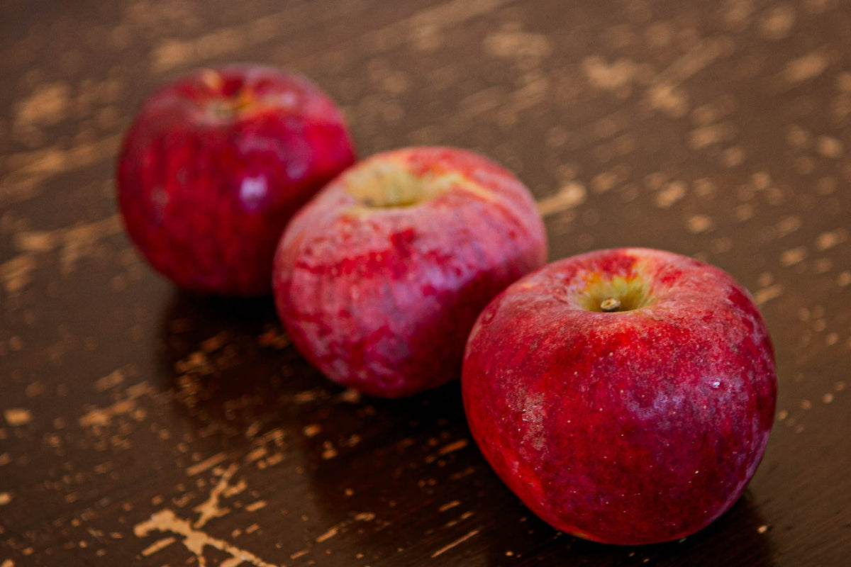 A row of Cortland apples on a wooden surface. Picked in Nystrom Orchard in Worthington Minnesota.