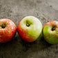 3 Wealthy apples in a row on a concrete surface. Picked in Nystrom Orchard in Worthington Minnesota.