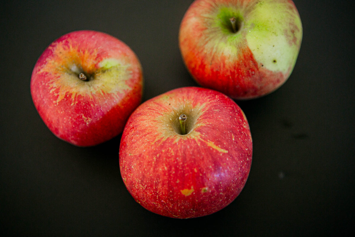 A trio of Fireside apples on a black surface. Picked in Nystrom Orchard in Worthington Minnesota.