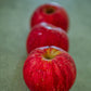 Three gala apples on a concrete surface. Picked at Nystrom Orchard in Worthington Minnesota.