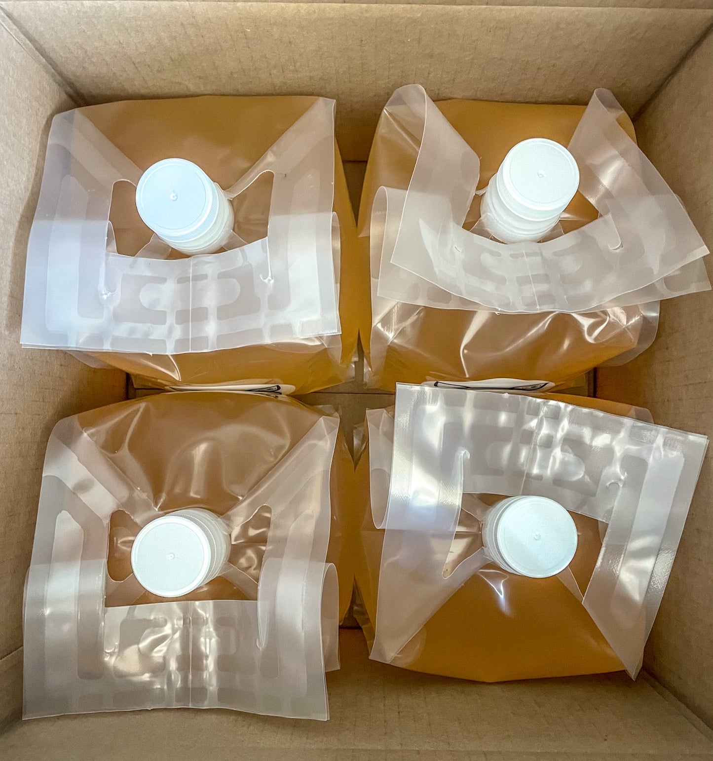 4 nip and grip plastic bags full of apple cider vinegar in a box. Made in the kitchen of Nystrom Orchard in Worthington Minnesota.