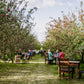 Tasting through the Orchard Event