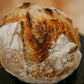 Sourdough Lineup