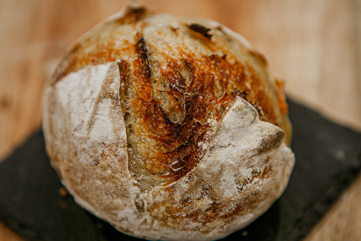 Sourdough Lineup