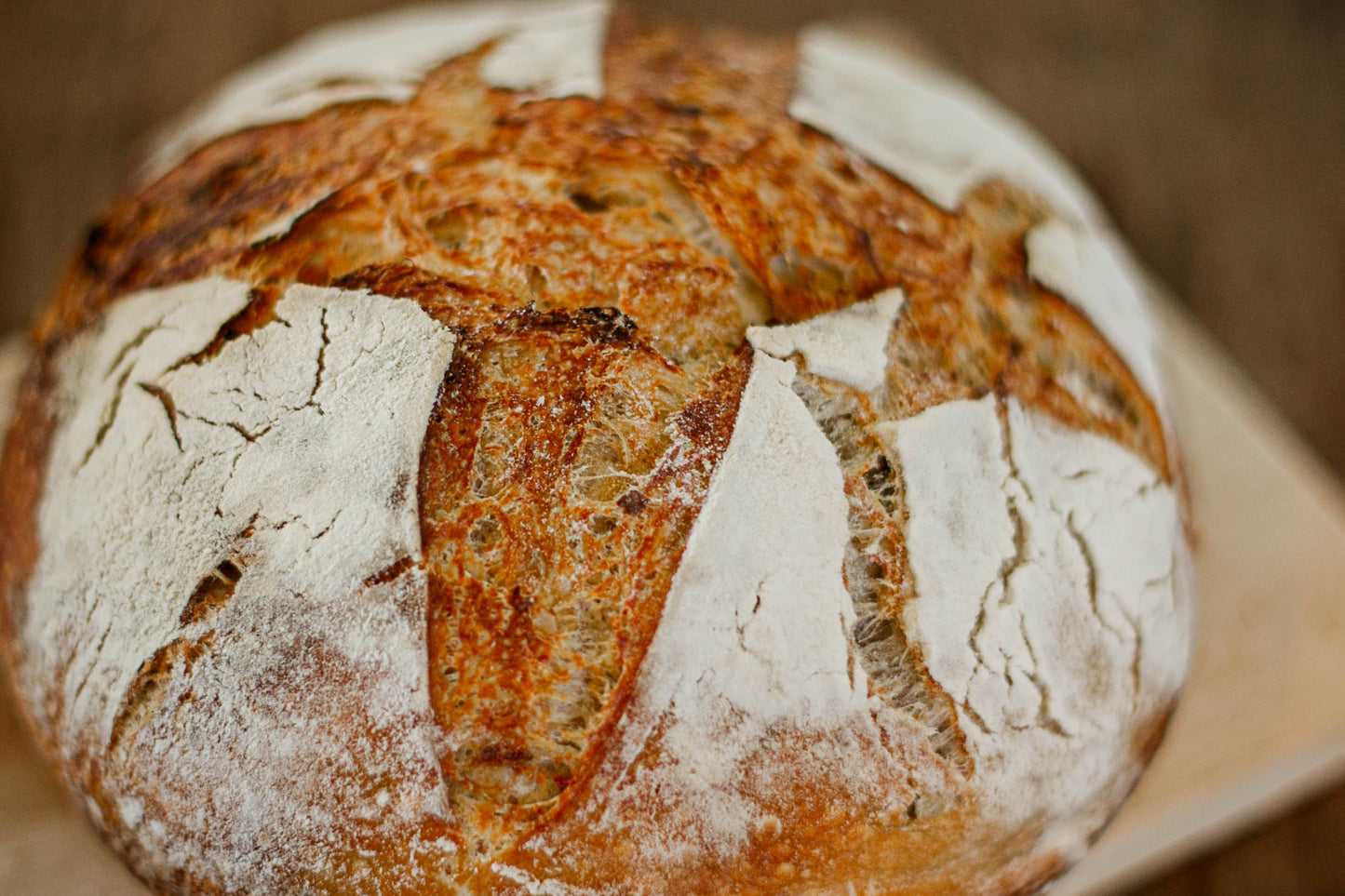 Basil Mozzarella Sourdough