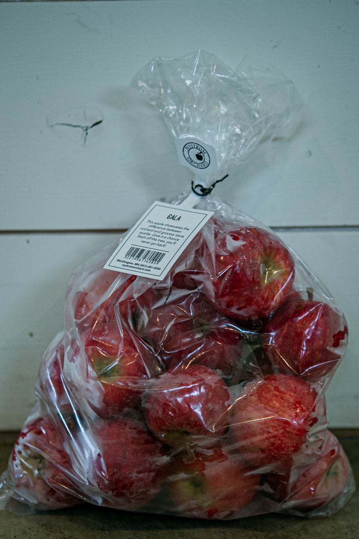 Clear plastic bag of gala apples on a concrete surface with a white background. Picked at Nystrom Orchard in Worthington Minnesota.
