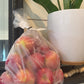 5 lb bag of first kiss apples on a grey shelf with a house plant beside. Picked in the orchard at Nystrom Orchard in Worthington Minnesota.