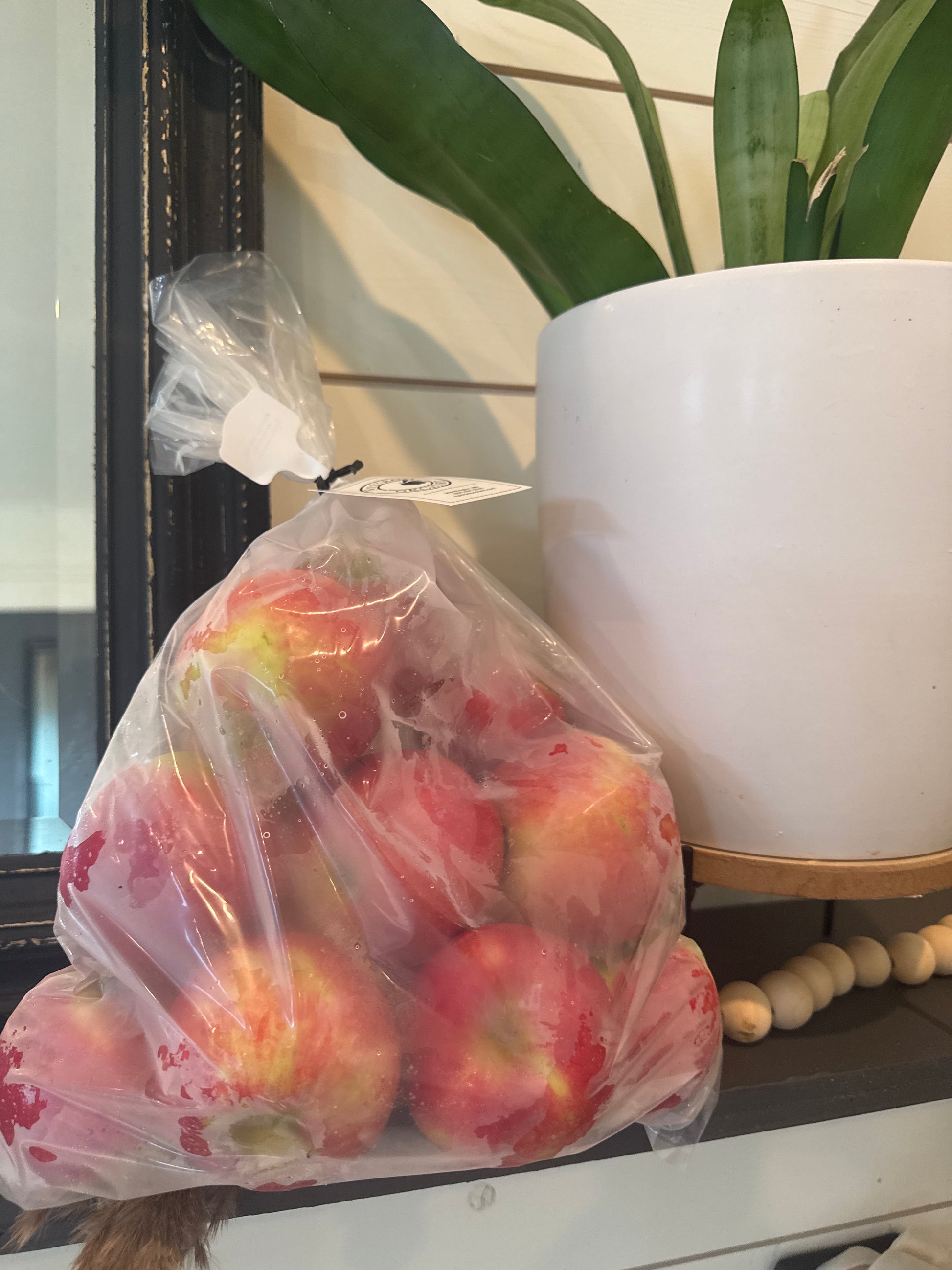 5 lb bag of first kiss apples on a grey shelf with a house plant beside. Picked in the orchard at Nystrom Orchard in Worthington Minnesota.