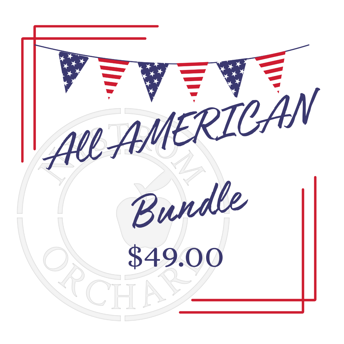 Promotional graphic for 'All American Bundle' with American flags and price on a white background.