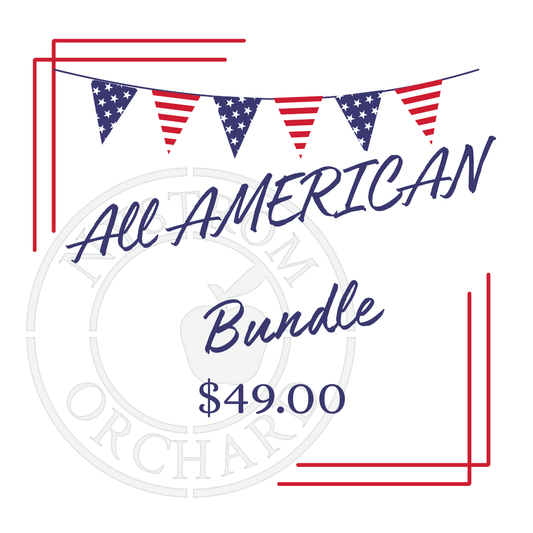 Promotional graphic for 'All American Bundle' with American flags and price on a white background.