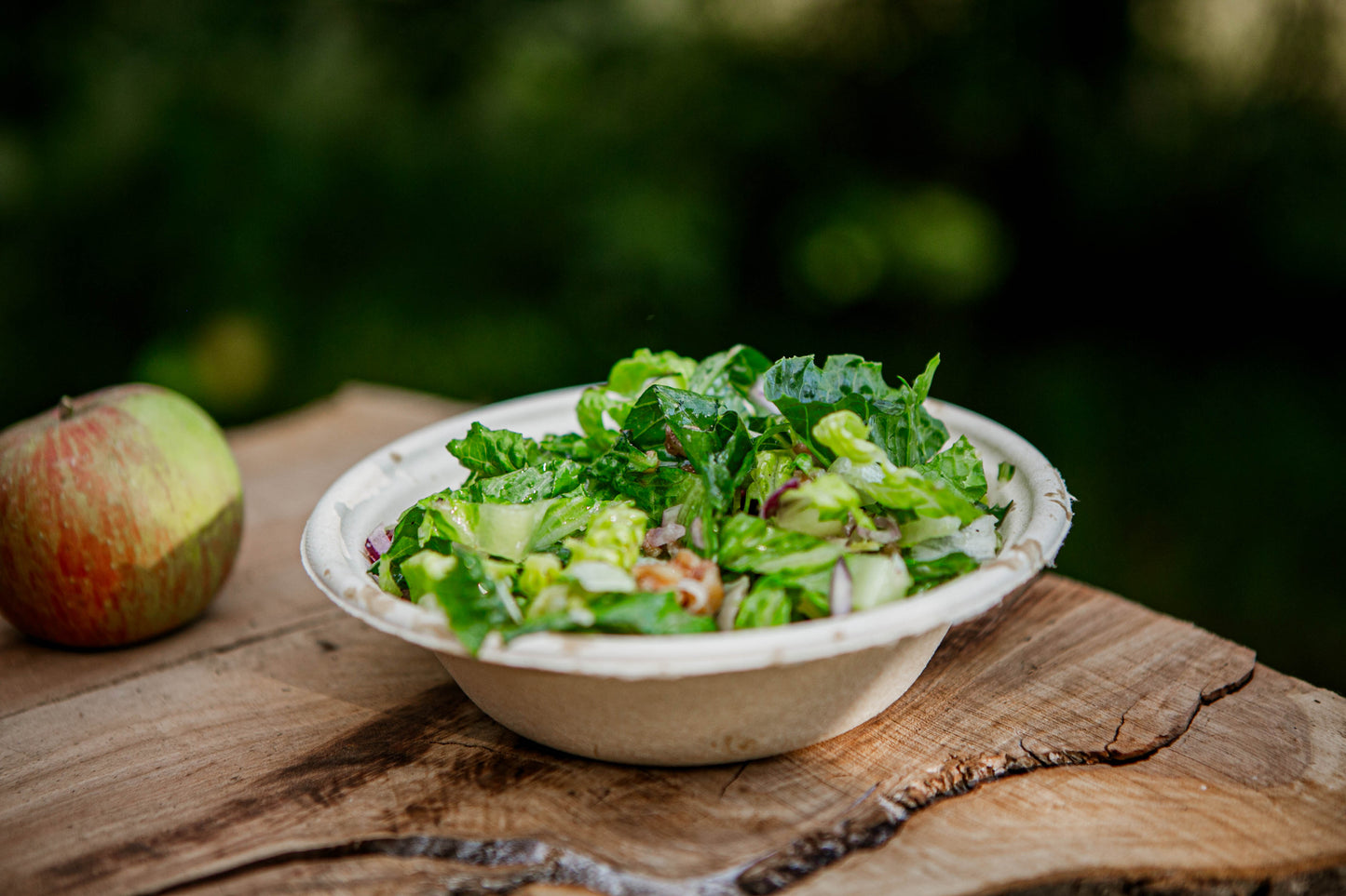 Autumn chop salad with onions and apples and nuts in a white bowl on a wooden surface with apple. Made in the kitchen at Nystrom Orchard in Worthington Minnesota.