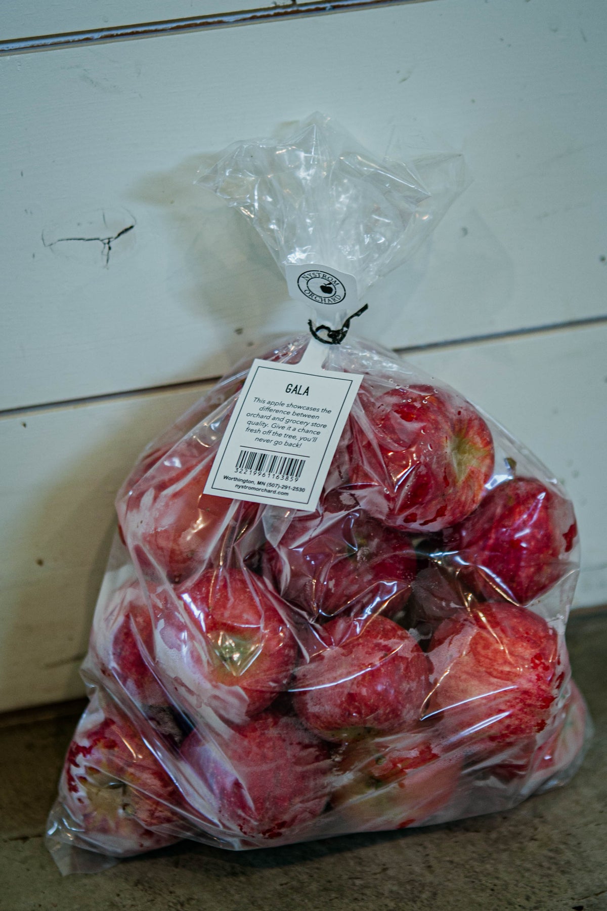 Plastic 5lb bag of gala apples on a concrete surface with a white background. Picked at Nystrom Orchard in Worthington Minnesota.