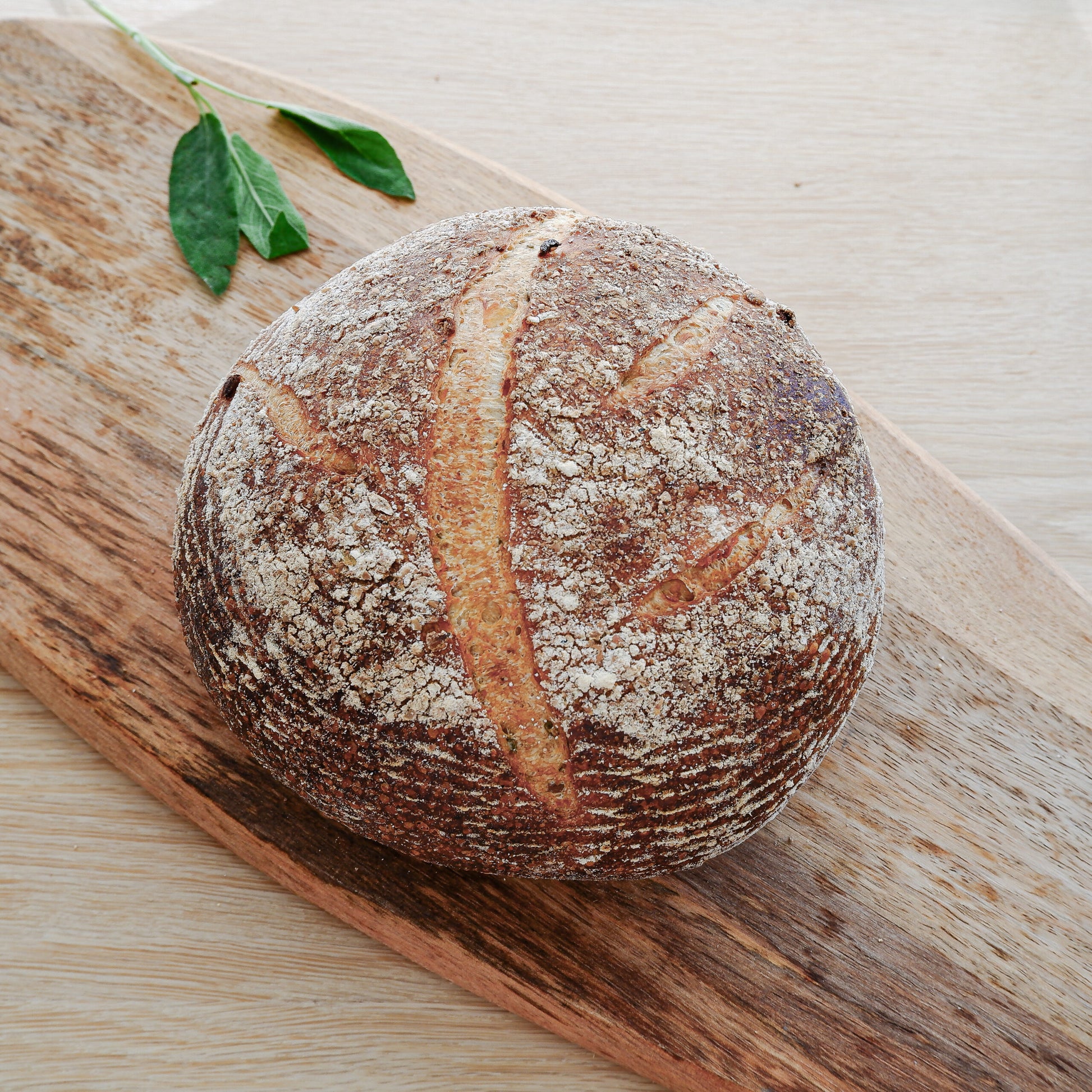 Rustic loaf of caramelized onion and sage sourdough bread loaf on a wooden cutting board with a sprig of sage on the side. Baked in the kitchen at Nystrom Orchard in Worthington Minnesota.