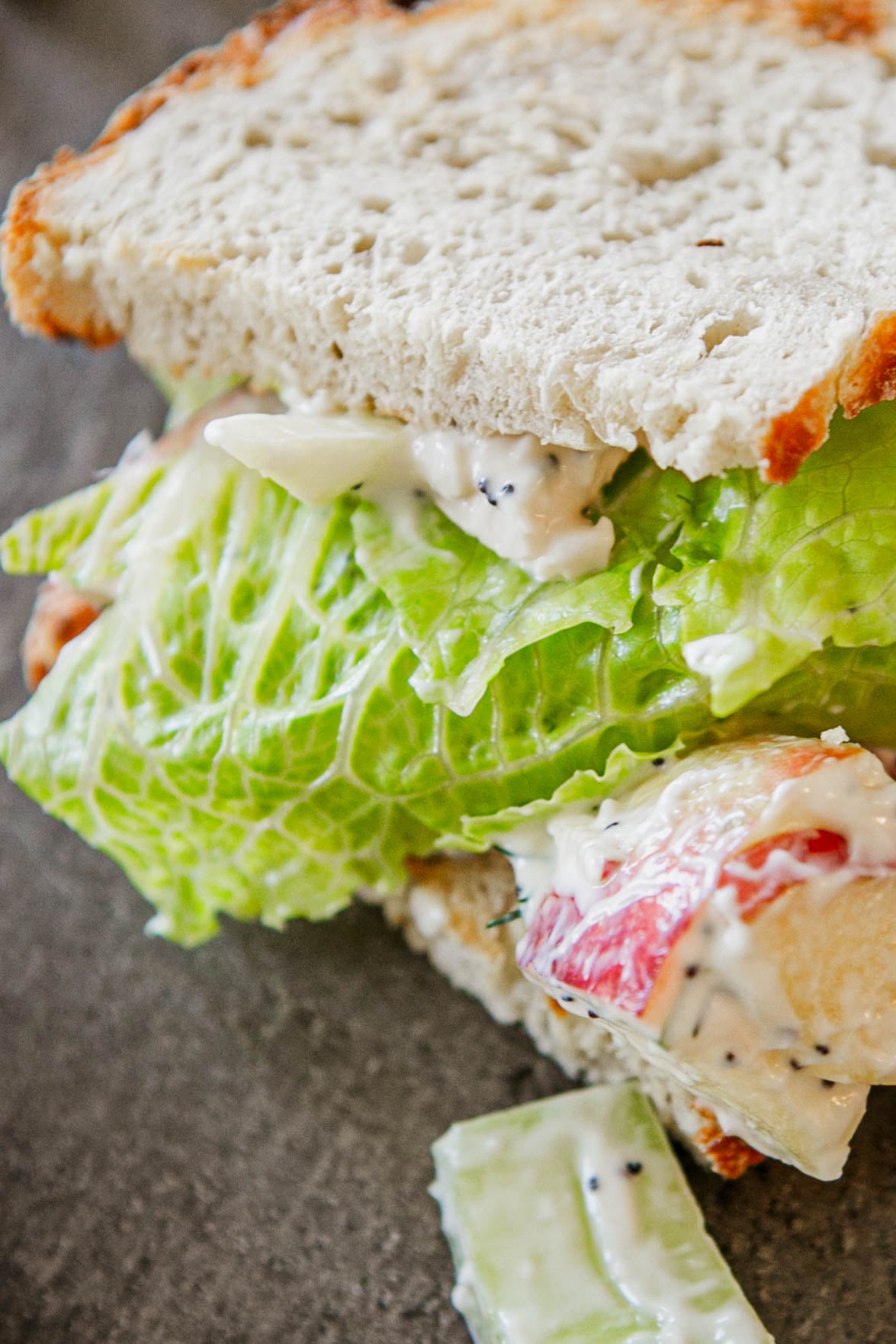 Close-up of a sandwich sourdough bread with lettuce and chicken salad on a dark surface. Prepared in the kitchen at Nystrom Orchard in Worthington Minnesota.