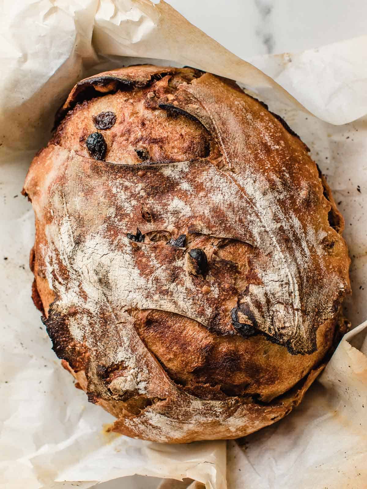 Rustic loaf of cinnamon raisin sourdough bread in parchment paper on a marble surface. Baked in the kitchen at Nystrom Orchard in Worthington Minnesota. 
