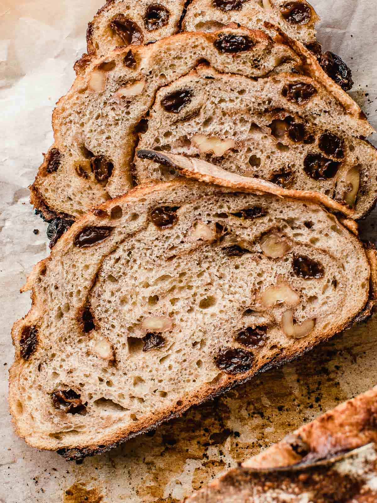 Slices of artisan sourdough bread full of raisins and walnuts on a white surface. Baked in the kitchen at Nystrom Orchard in Worthington Minnesota. 