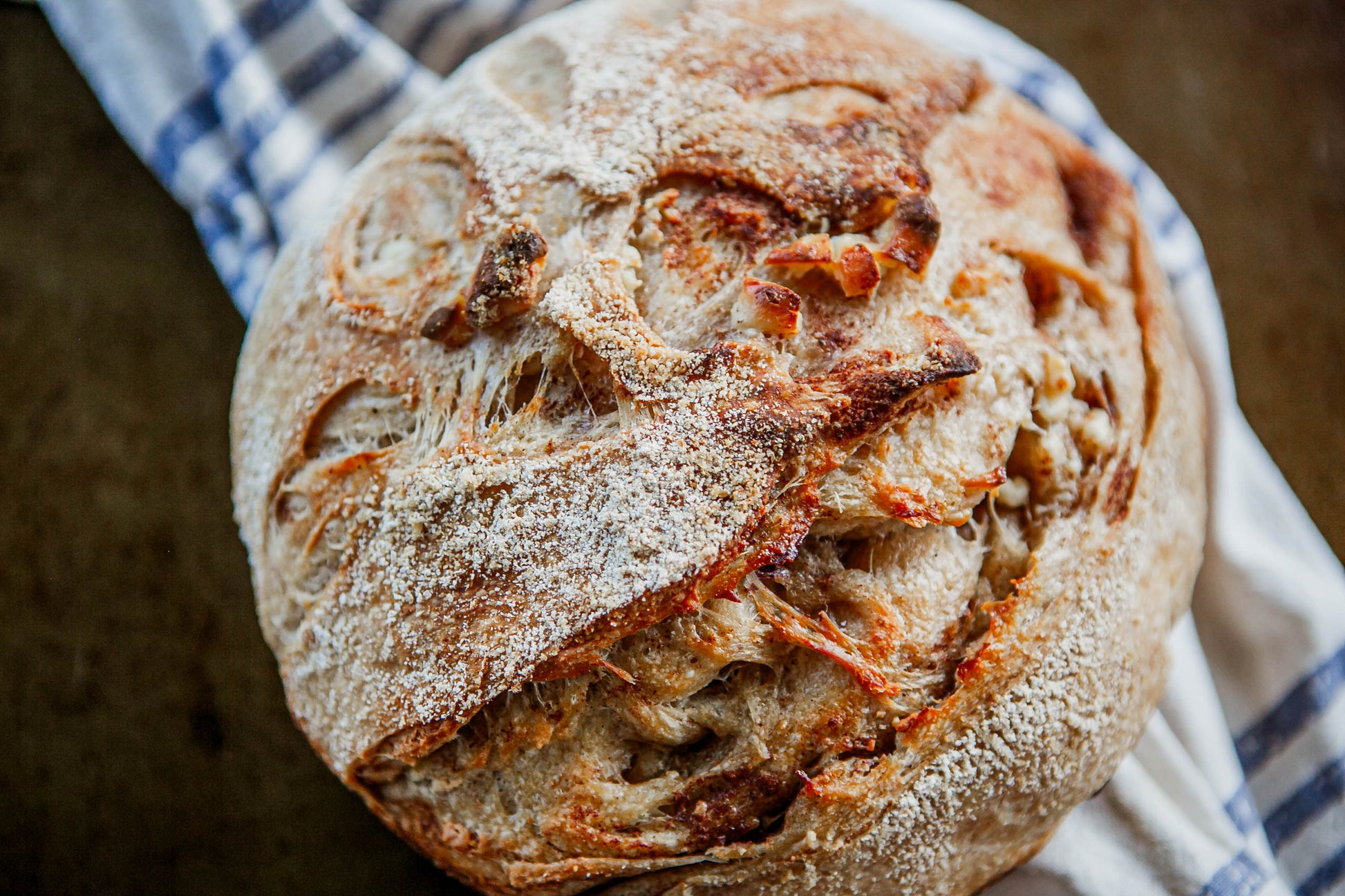 Fresh artisan cinnamon sugar butter sourdough loaf on a white and blue towel on a dark surface. Baked in the kitchen in of Nystrom Orchard in Worthington Minnesota.