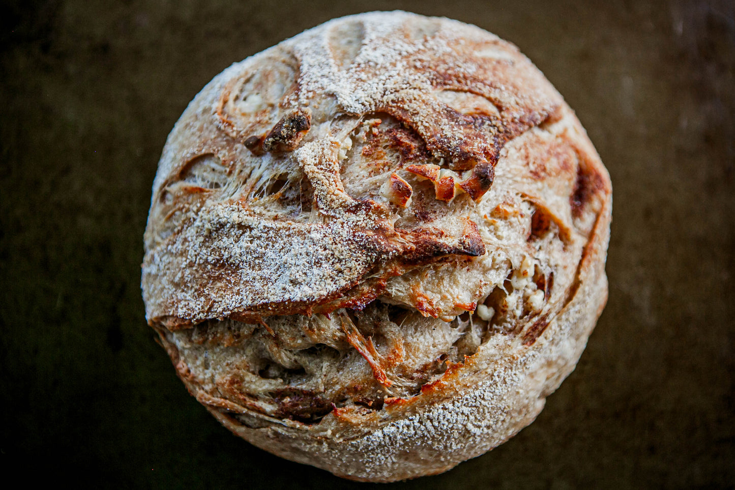 Loaf of bread with a rustic crust on a dark background. Baked in the kitchen of Nystrom Orchard in Worthington Minnesota.