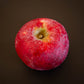 A single red Cortland apple with a crisp white flesh visible at the stem end, displayed against a dark background. Picked in Nystrom Orchard in Worthington Minnesota.