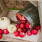 Crab apples in a metal can with some small white gourd in a wooden apple crate. Picked in Nystrom Orchard in Worthington Minnesota.