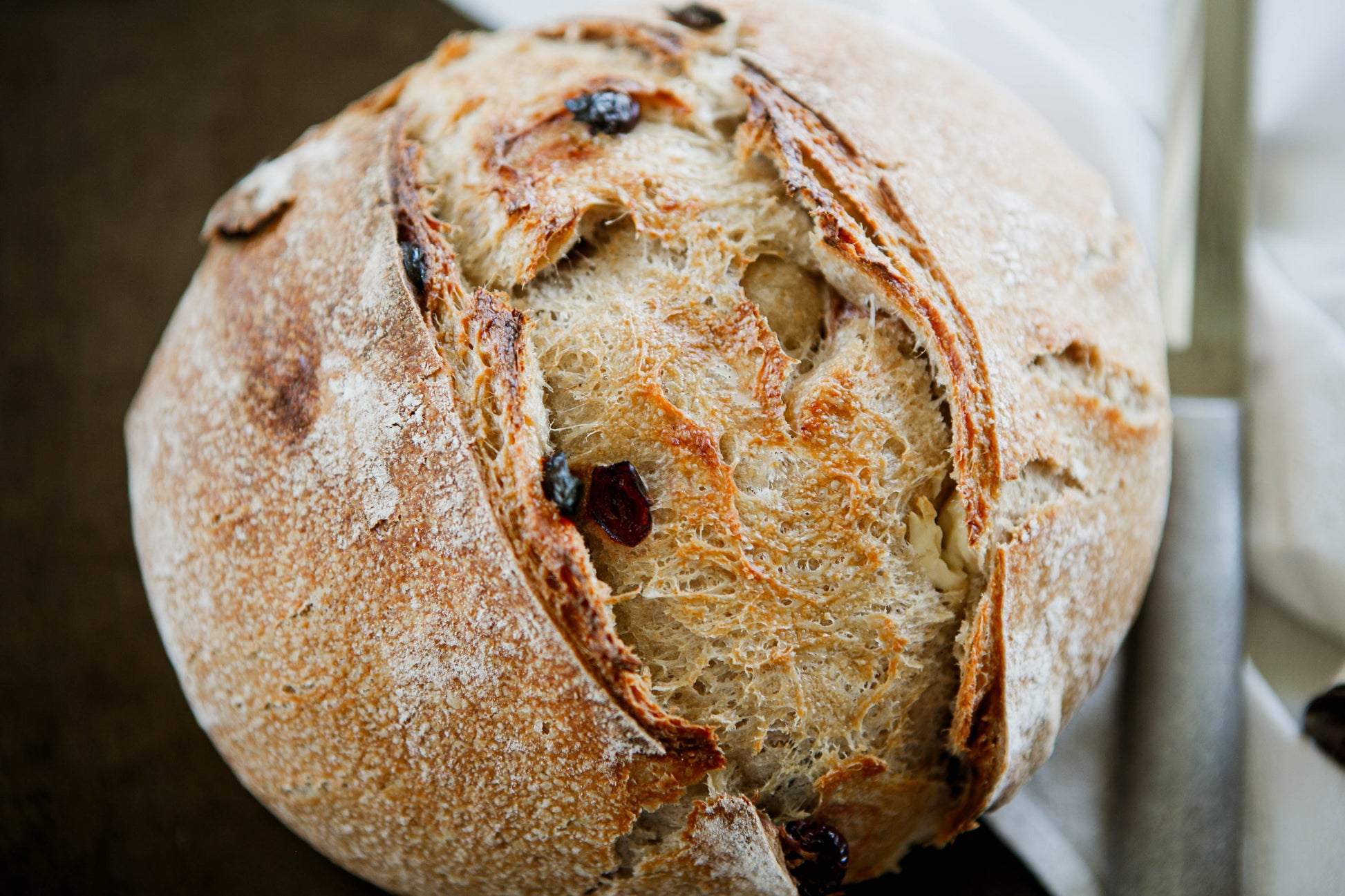 Loaf of bread with a rustic crust and visible cranberries and cream cheese on a dark surface and white cloth. Baked by Nystrom Orchard in Worthington Minnesota.