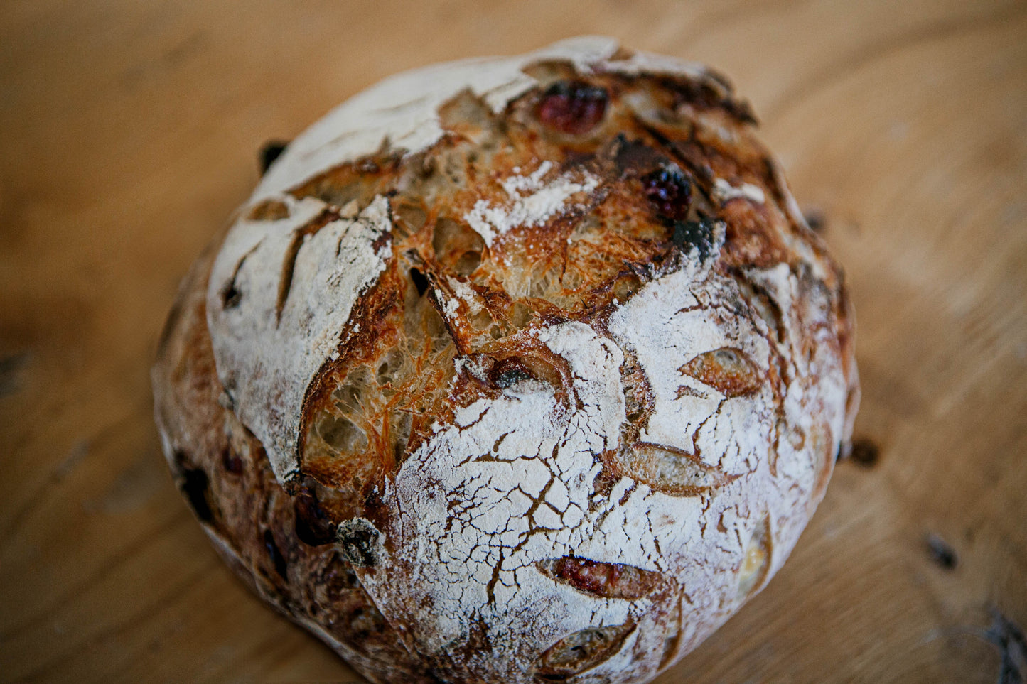 Cranberry cream cheese loaf of sourdough bread on a wooden cutting board. Baked in the kitchen of Nystrom Orchard in Worthington Minnesota.