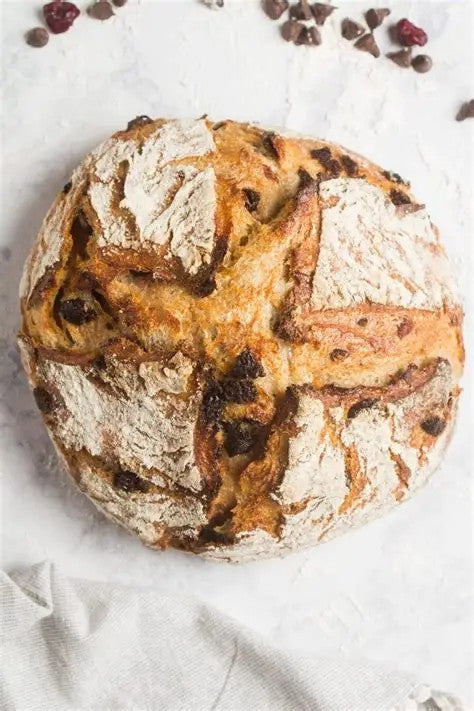 Rustic artisan cranberry white chocolate sourdough bread on a white cloth with cranberrys and chocolate sprinkled around. Baked in the kitchen at Nystrom Orchard in Worthington Minnesota.