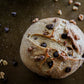 Artisan loaf of dark chocolate walnut sourdough bread on a dark surface with chocolate and walnut sprinkled on the background. Baked in the kitchen at Nystrom Orchard in Worthington Minnesota.