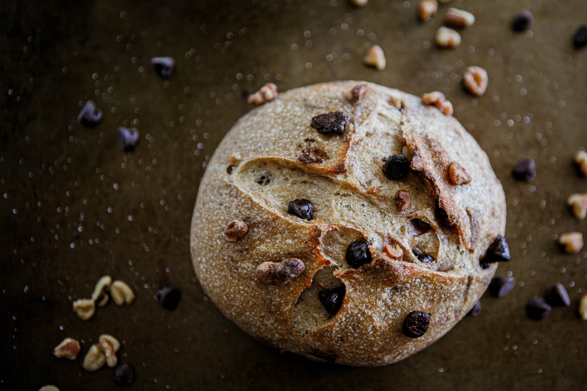 Artisan loaf of dark chocolate walnut sourdough bread on a dark surface with chocolate and walnut sprinkled on the background. Baked in the kitchen at Nystrom Orchard in Worthington Minnesota.