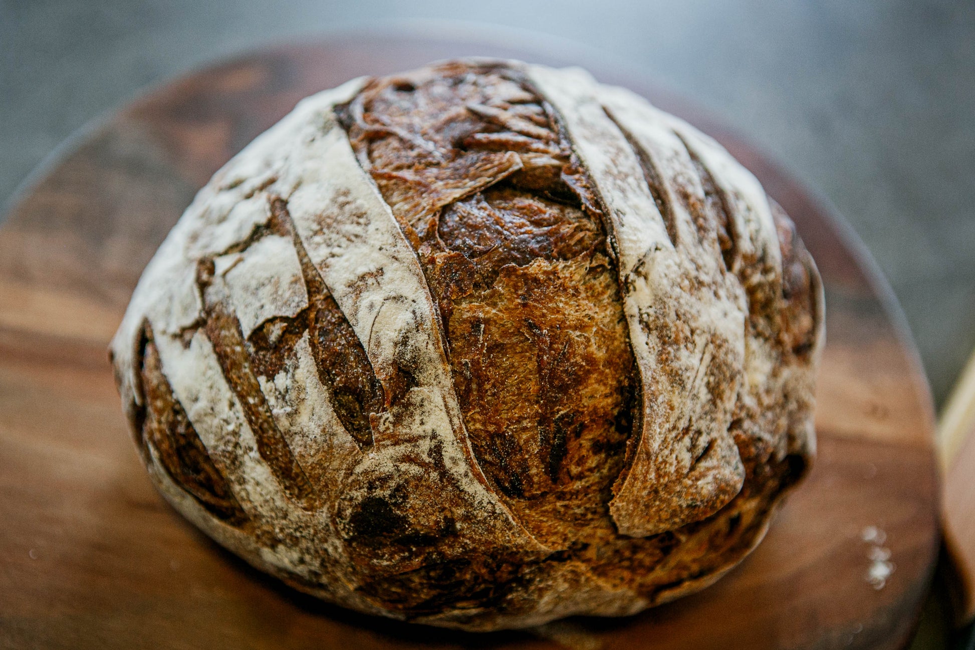 Rustic loaf of sourdough double chocolate bread on a wooden cutting board on a dark surface. Baked in the kitchen of Nystrom Orchard in Worthington Minnesota. 