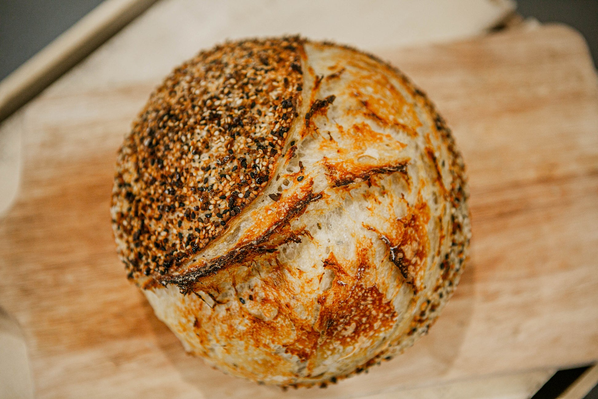 Rustic loaf of sourdough with Everything Bagel seasoning on top on a wooden surface. Baked in the kitchen at Nystrom Orchard in Worthington Minnesota. 