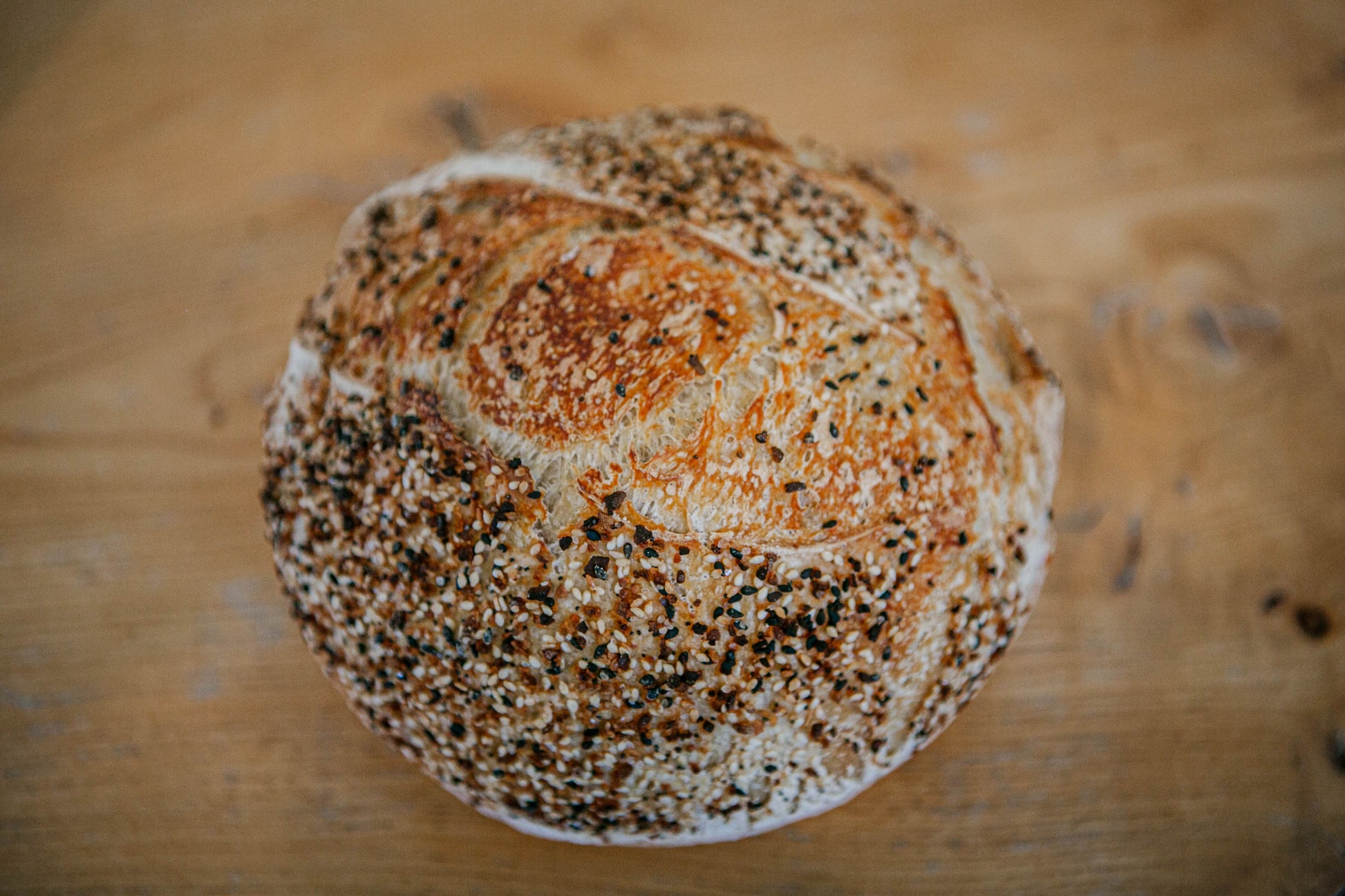Loaf of rustic sourdough bread covered in everything bagel seasoning on a wooden surface. Baked by Nystrom Orchard in Worthington Minnesota.