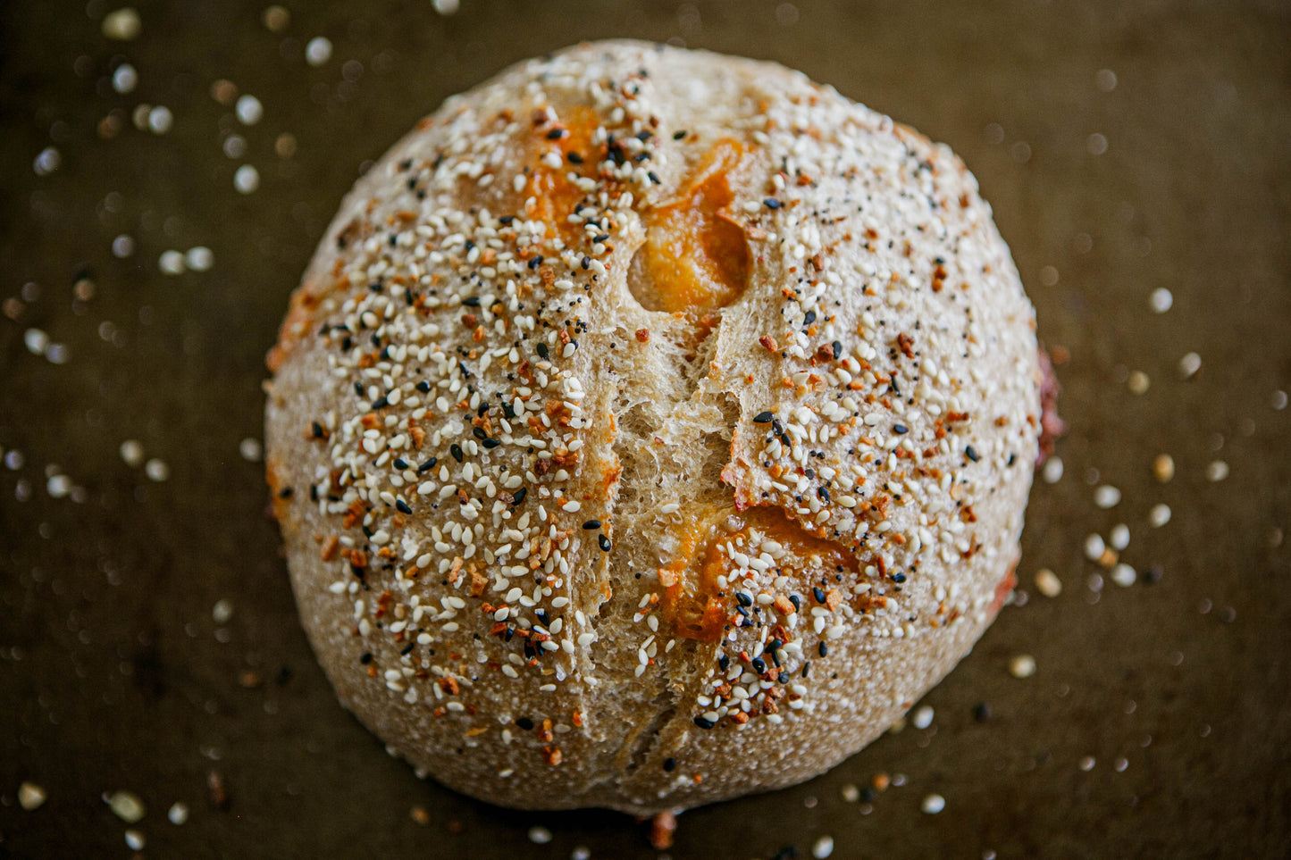 Artisan loaf of sourdough bread full of cheddar cheese and the top is coated with everything bagel seasoning on a dark surface. Baked in the kitchen at Nystrom Orchard in Worthington Minnesota. 