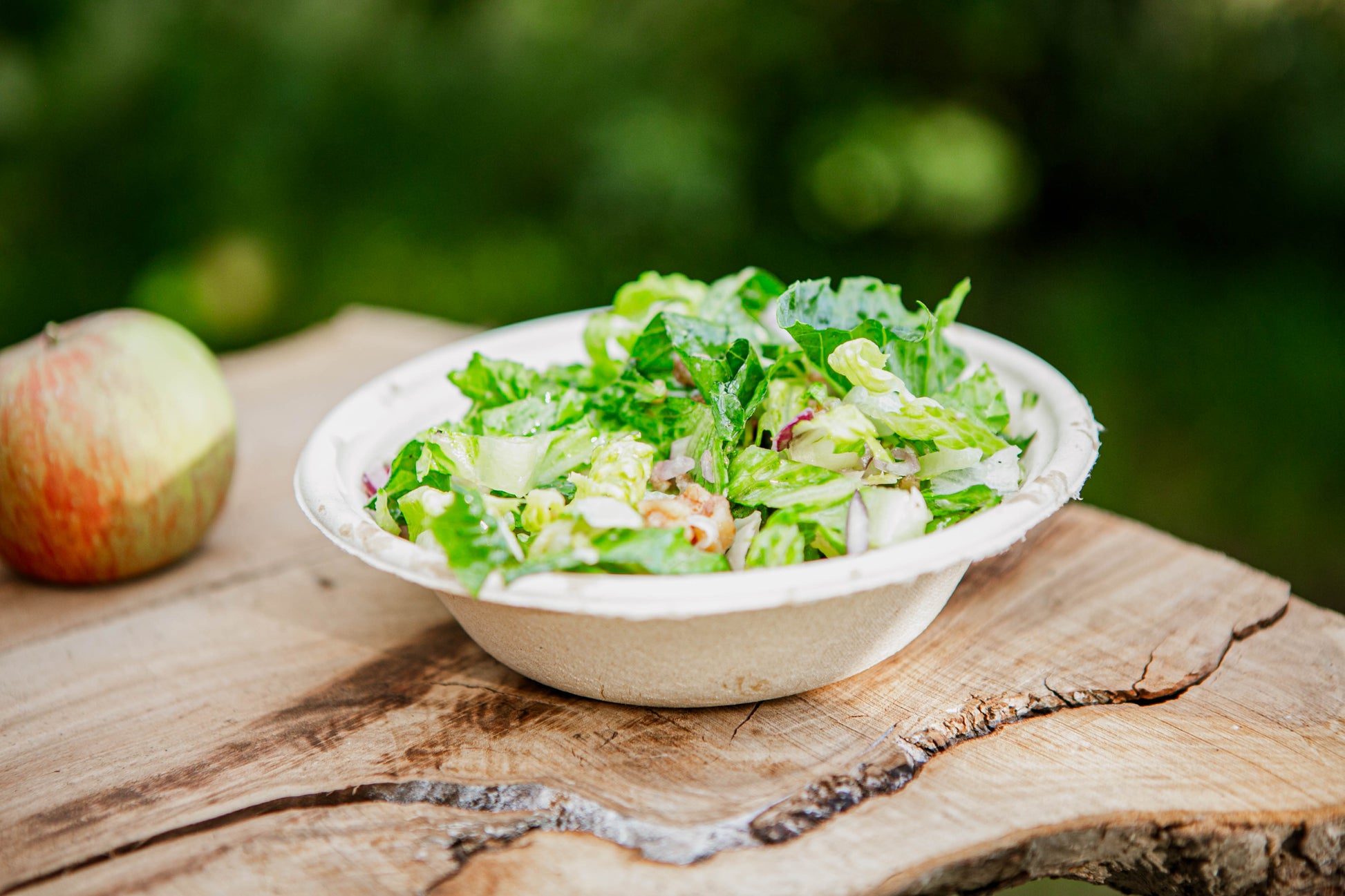 A fall salad with red onion, walnuts, and parmesan in a white paper bowl on a wooden table with an apple behind. Made in the kitchen of Nystrom Orchard in Worthington Minnesota. 