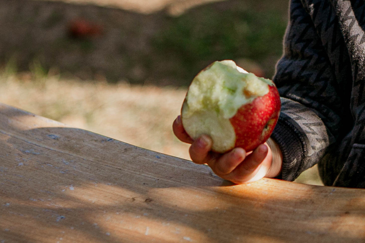 A hand holding a fireside apple that is being eaten outside in an orchard. Picked in Nystrom Orchard in Worthington Minnesota.