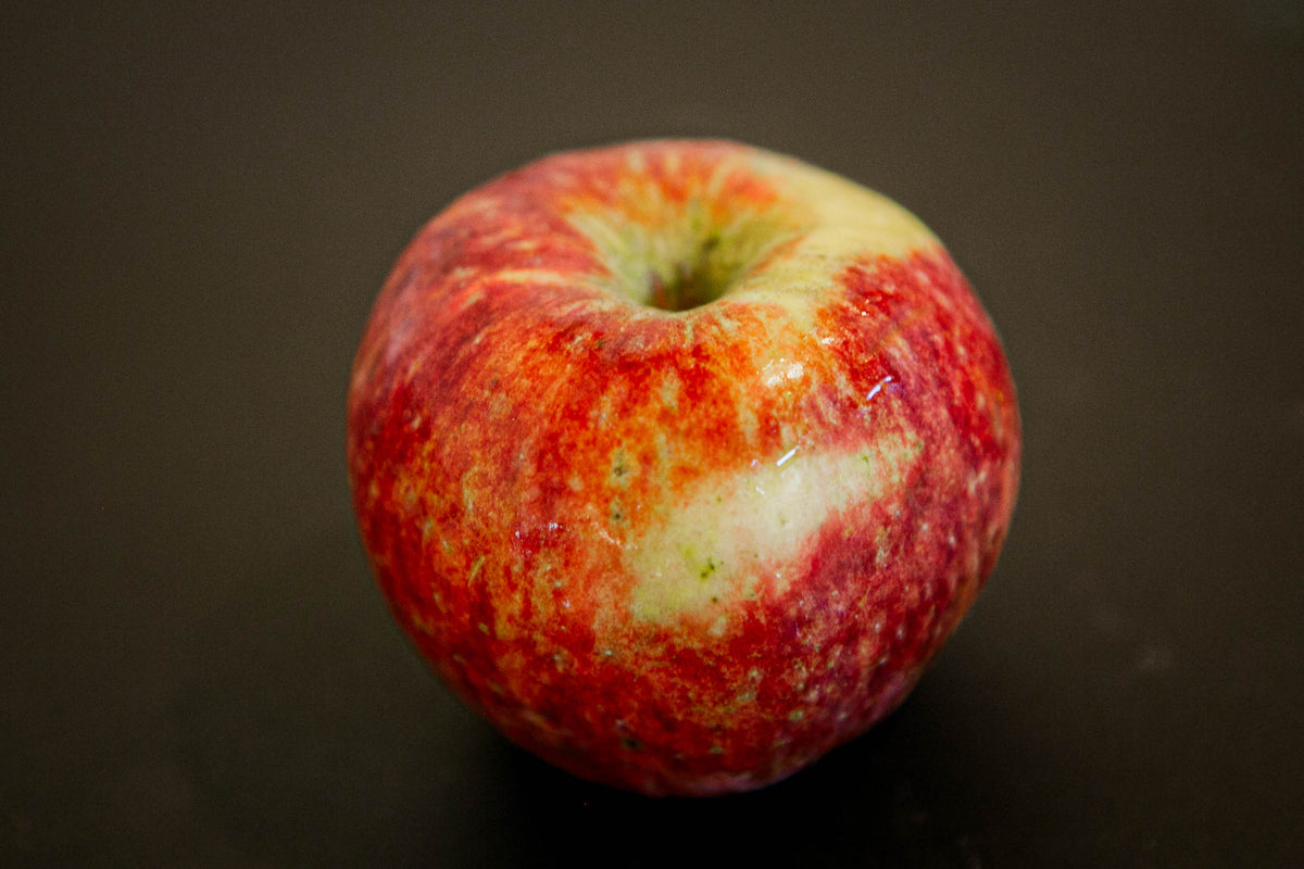 One apple variety frostbite on a black surface. Picked at Nystrom Orchard in Worthington Minnesota.