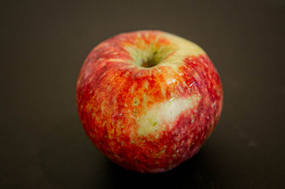 One apple variety frostbite on a black surface. Picked at Nystrom Orchard in Worthington Minnesota.
