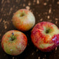 Three apples that are the variety frostbite on a brown wooden table. Apples from the orchard of Nystrom Orchard in Worthington Minnesota.