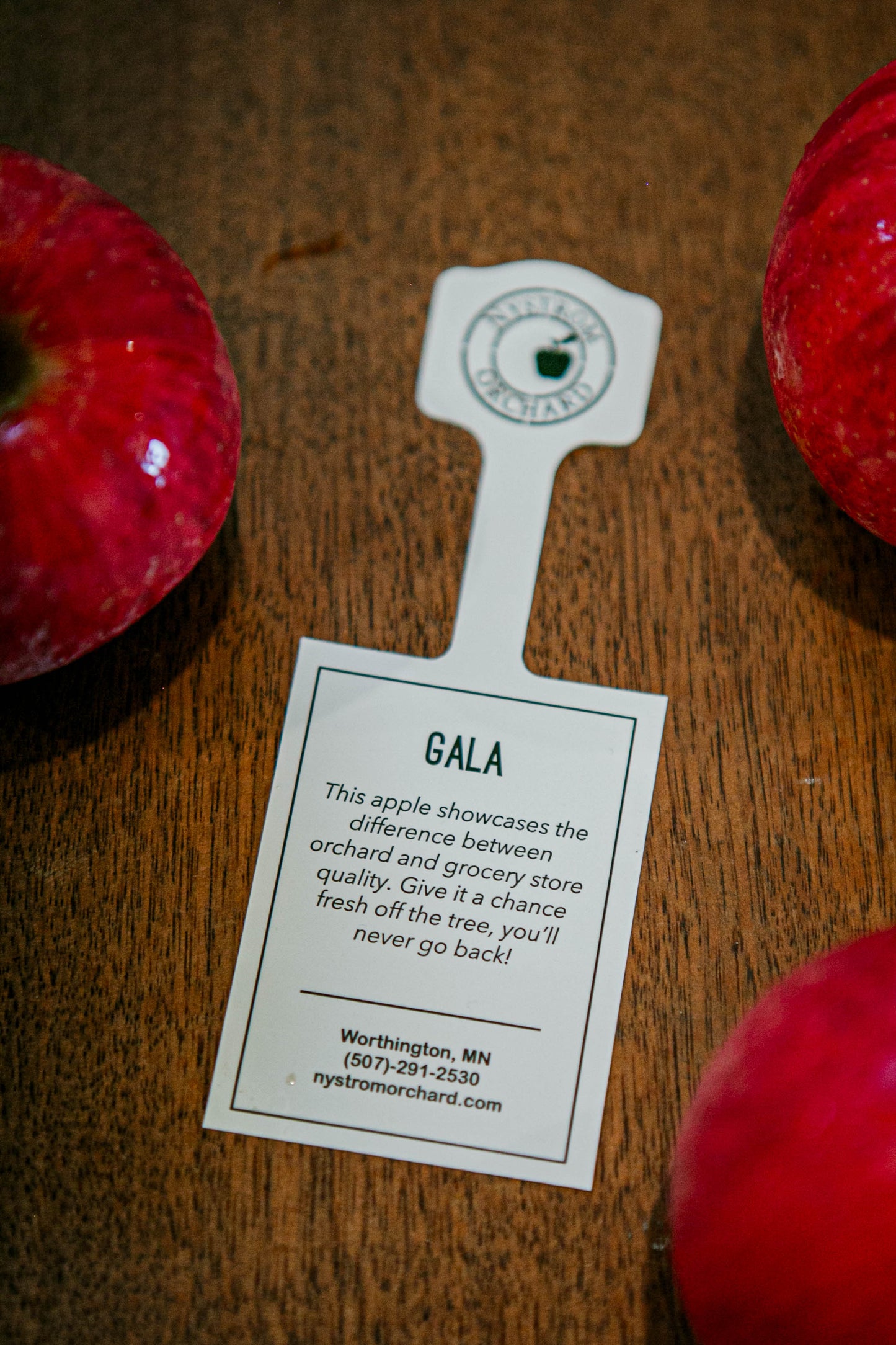 Tag of a Gala apple with product information, surrounded by the apples on a wooden surface. Apples picked at Nystrom Orchard in Worthington Minnesota.
