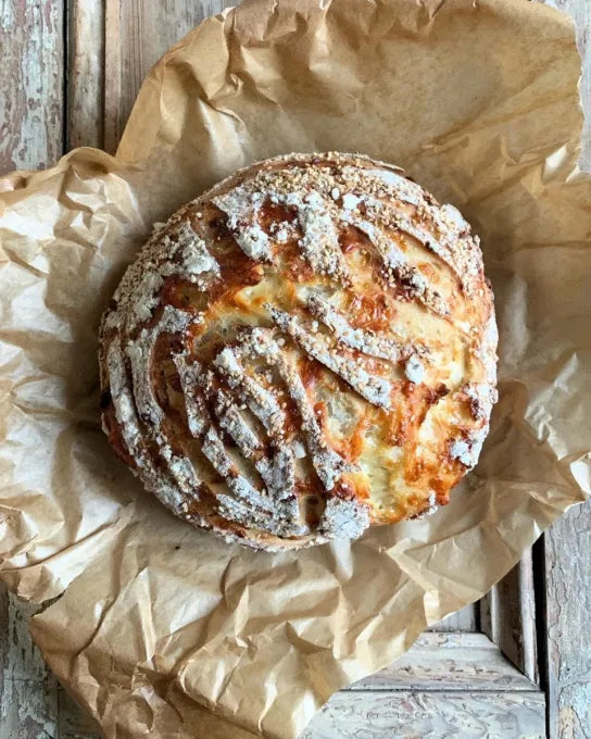 Rustic artisan loaf of cheddar garlic sourdough bread on parchment paper on a wooden surface. Baked in the kitchen at Nystrom Orchard in Worthington Minnesota.