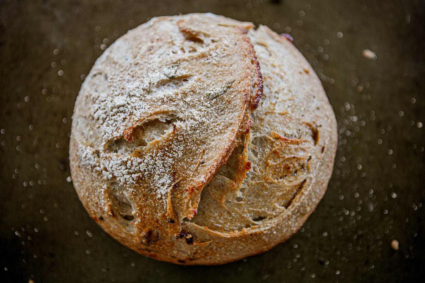 Rustic loaf of garlic and herb sourdough on a dark surface. Baked in the kitchen at Nystrom Orchard in Worthington Minnesota.