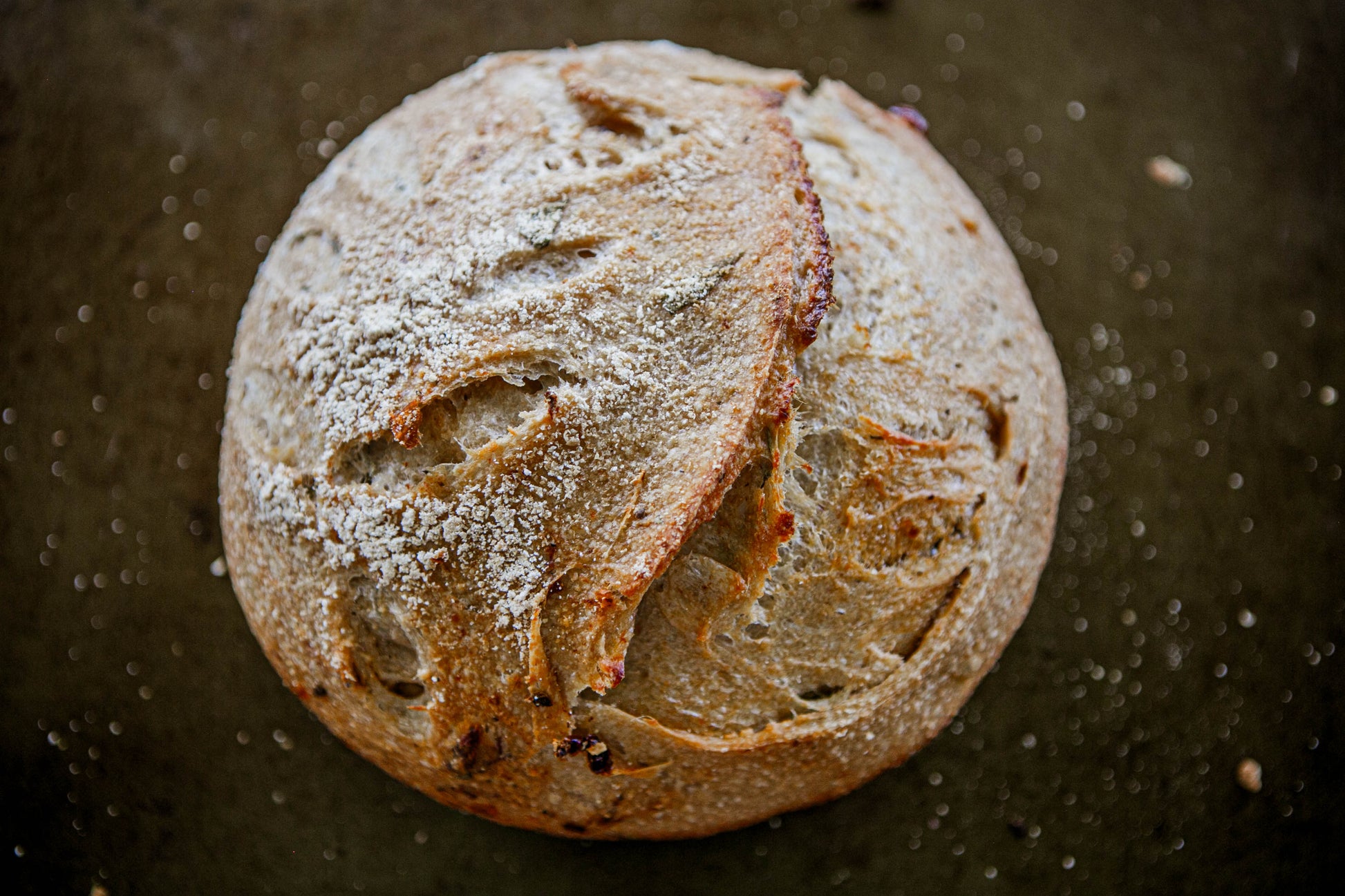 Rustic loaf of garlic and herb sourdough on a dark surface. Baked in the kitchen at Nystrom Orchard in Worthington Minnesota.