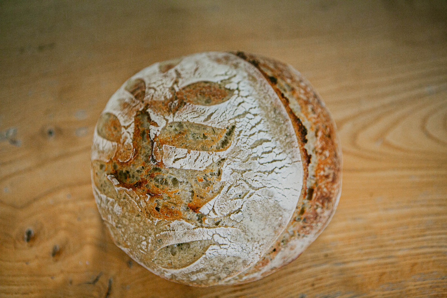 A freshly baked artisan sourdough bread with a golden-brown crust, placed on a wooden surface. Baked in the kitchen in Nystrom Orchard in Worthington Minnesota.
